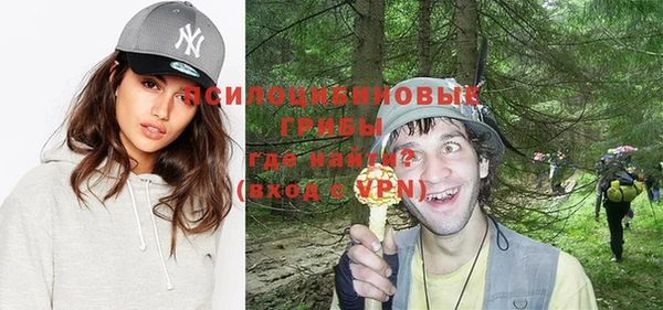 тгк Горняк