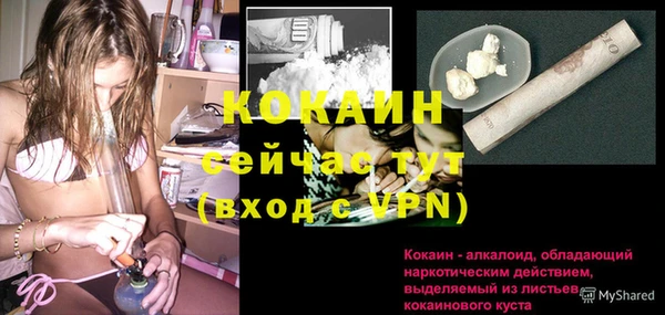 тгк Горняк