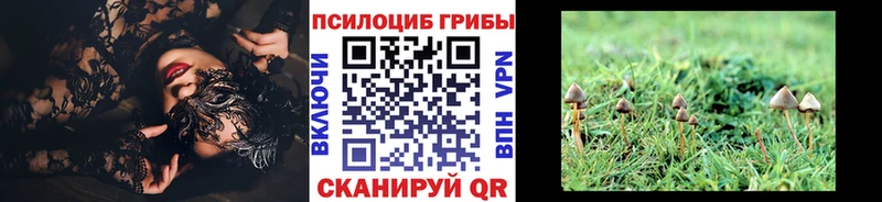 Галлюциногенные грибы Cubensis  Ачхой-Мартан 